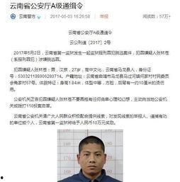 张林最新爆料视频播放,事件真相再引热议